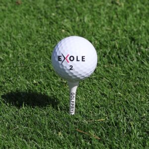 Golfpeggar / Träpeggar 54 mm (25 st)