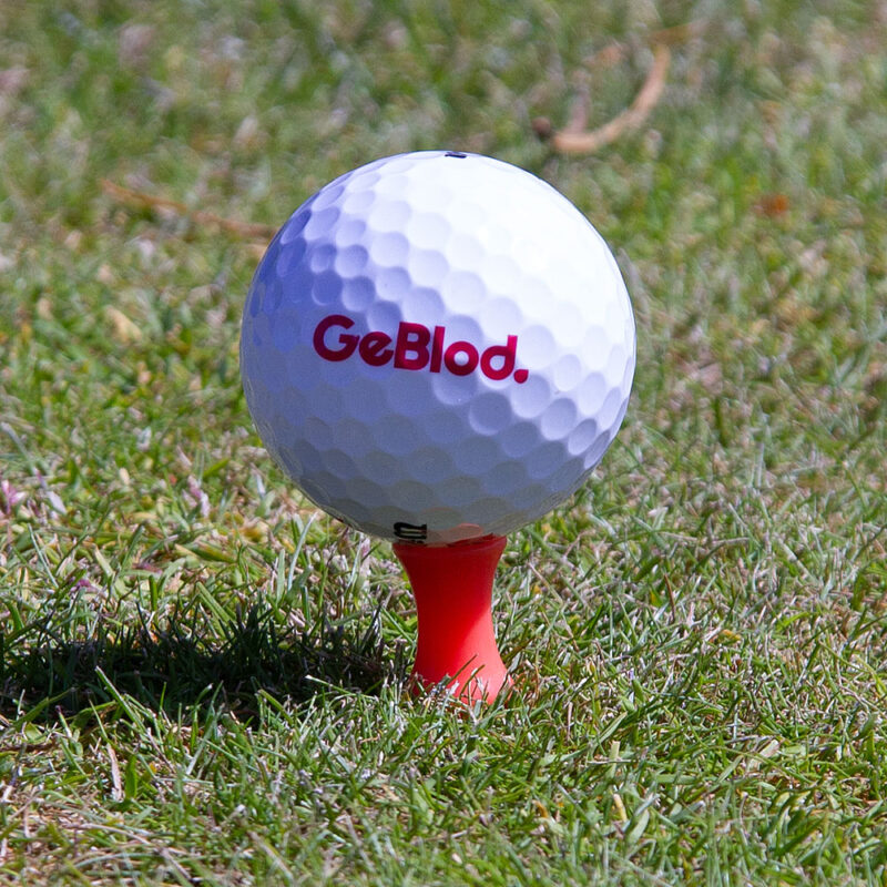 Medellång castlepeg