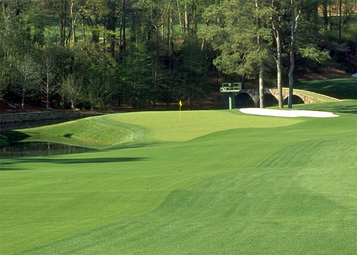 White Dogwood Augusta National