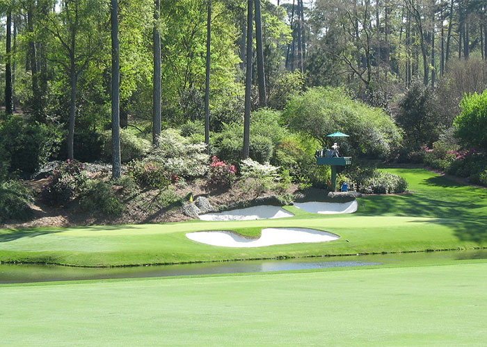 Golden Bell - Augusta National