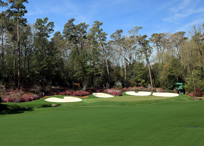 Azalea - Augusta National