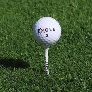 Golfpeggar / Träpeggar 70 mm (25 st)